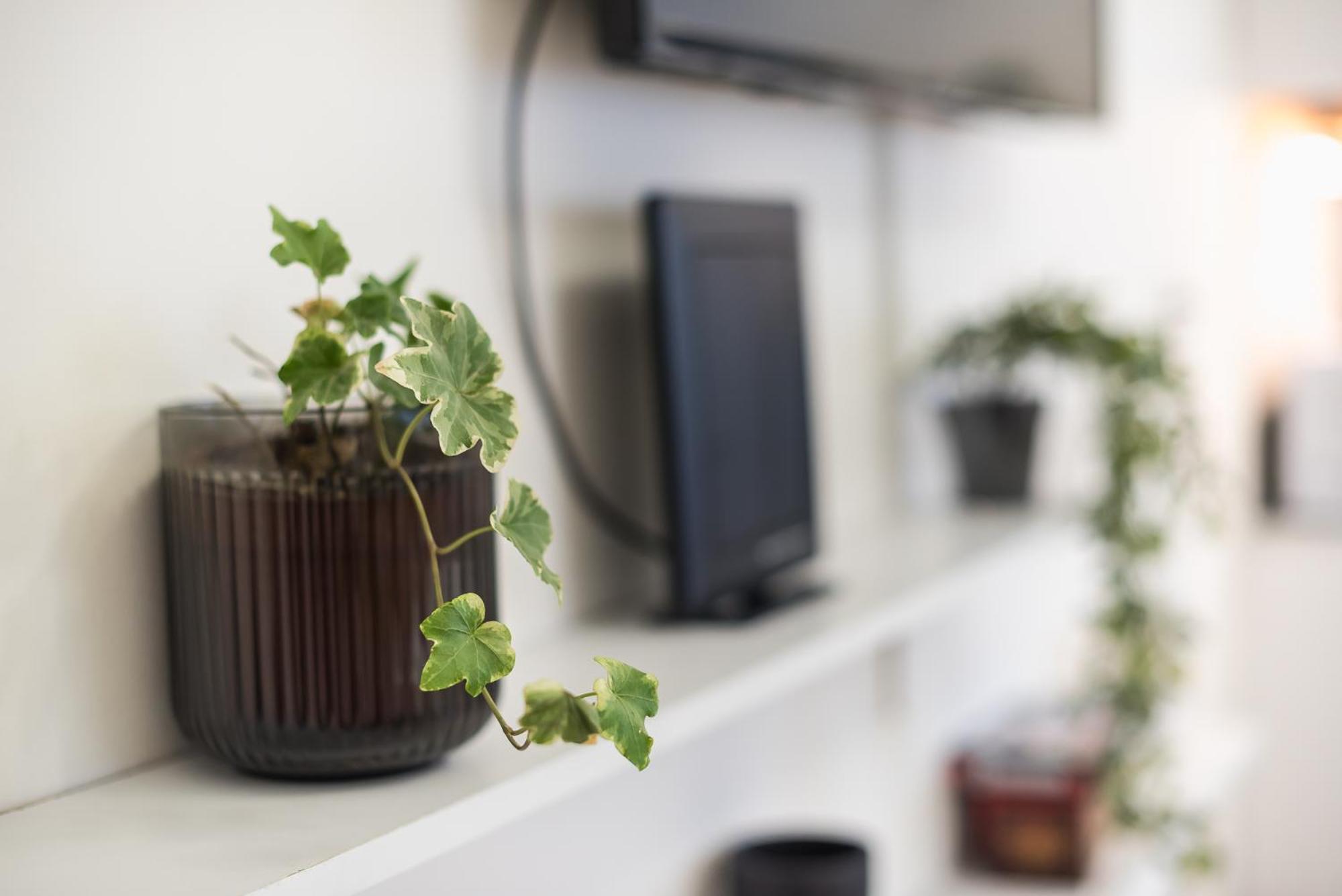 Modern Apartment 200M From Acropolis 100Mbps Netflix Athene Buitenkant foto
