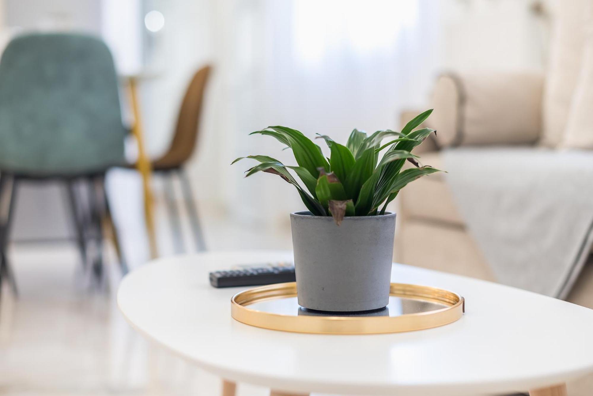 Modern Apartment 200M From Acropolis 100Mbps Netflix Athene Buitenkant foto